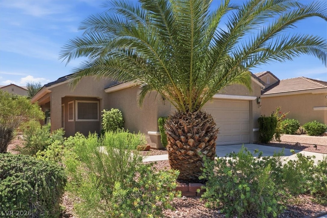 1803 Cypress Bay Avenue Henderson NV 89012