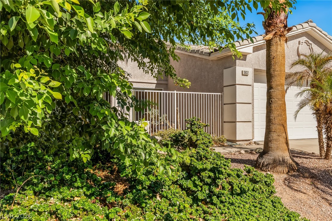 3637 Cottage Stream Court Laughlin NV 89029