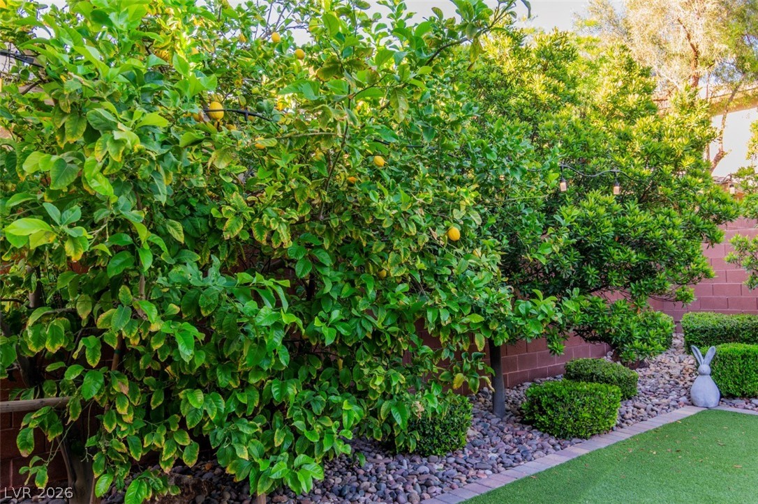 5528 Bellmead Court Las Vegas NV 89135