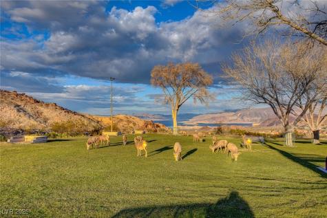 233 Big Horn Drive Boulder City NV 89005