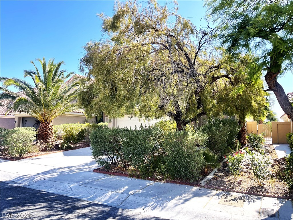 1420 Desert Hills Drive Las Vegas NV 89117