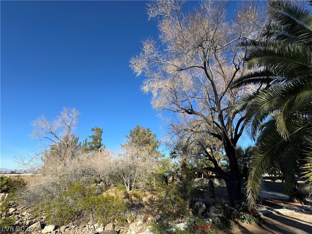3220 East Serene Avenue Henderson NV 89074