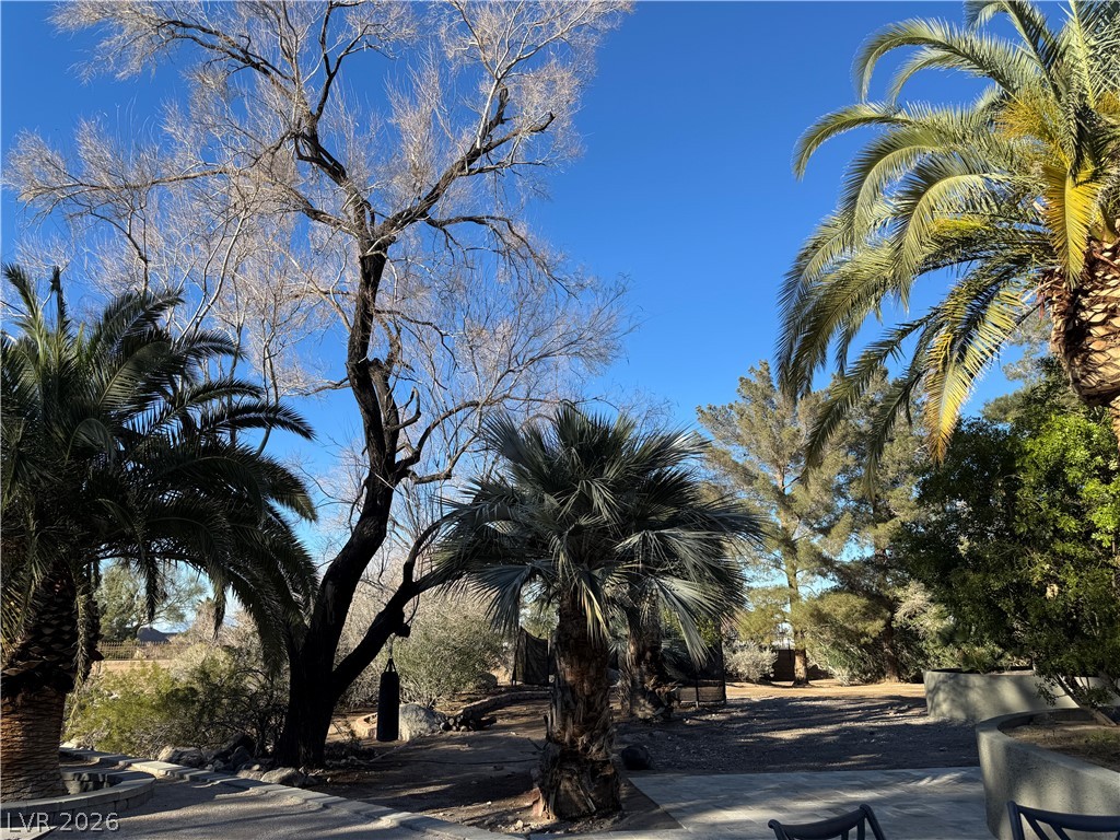3220 East Serene Avenue Henderson NV 89074