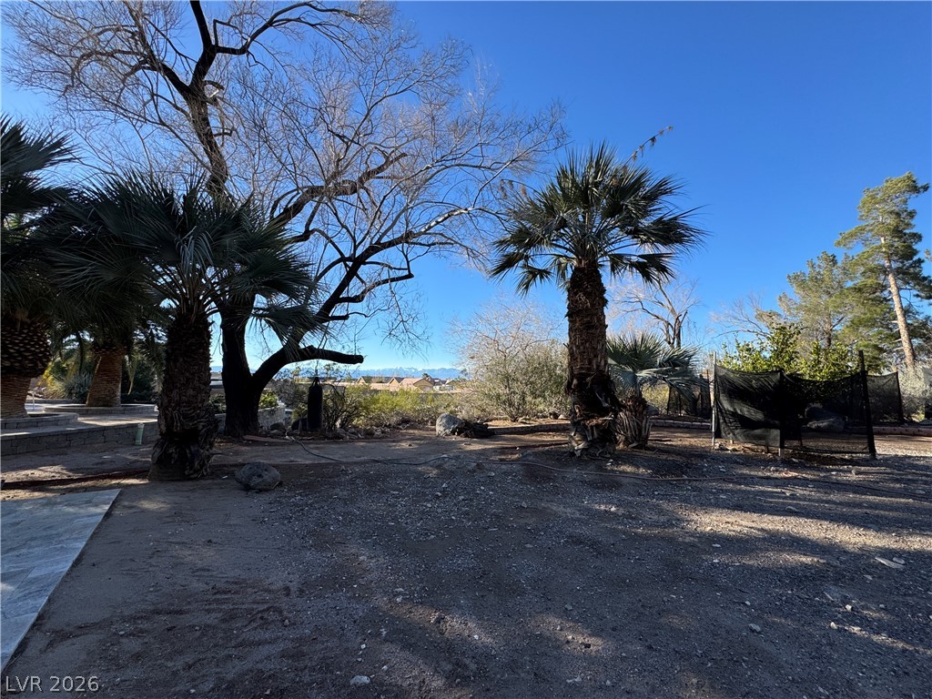 3220 East Serene Avenue Henderson NV 89074