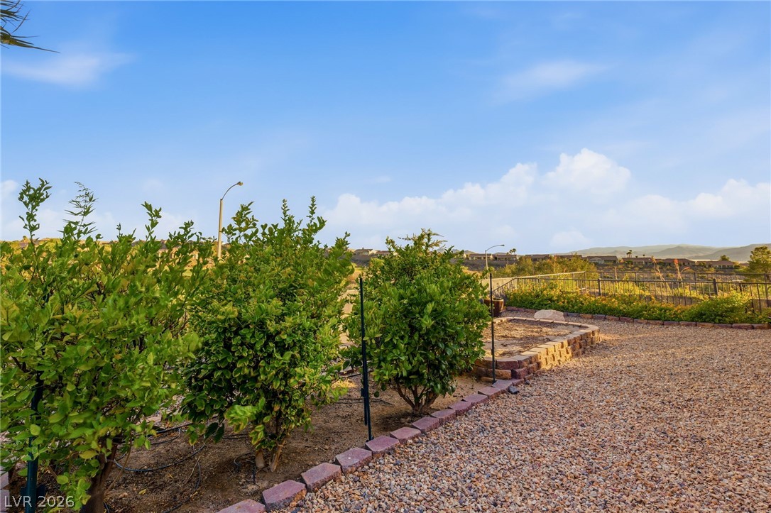 1899 Morganton Drive Henderson NV 89052