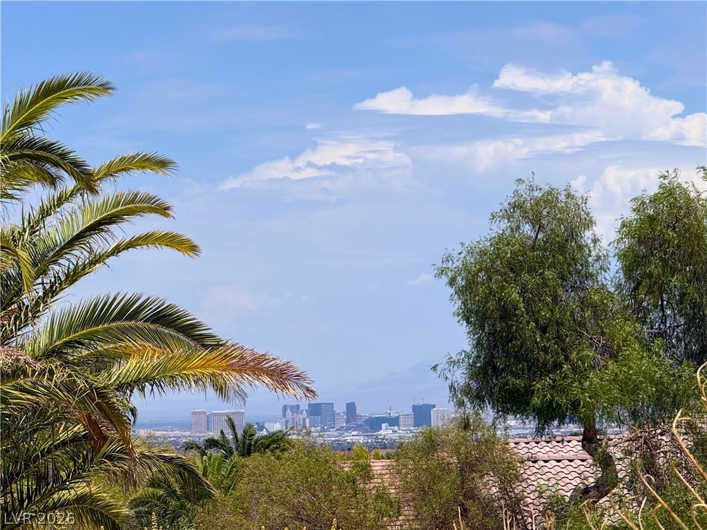 1995 Oliver Springs Street Henderson NV 89052
