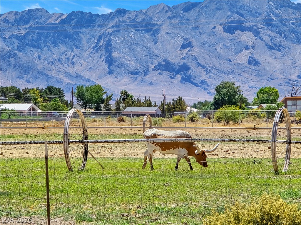 3543 East Malheur Avenue Pahrump NV 89061