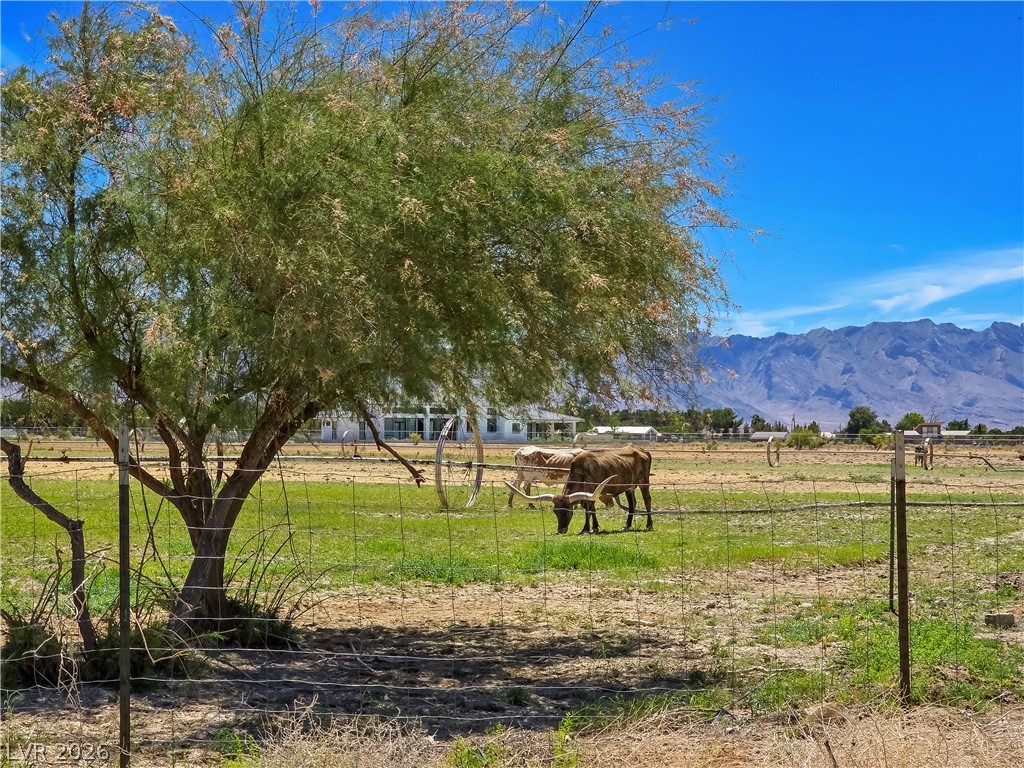 3543 East Malheur Avenue Pahrump NV 89061