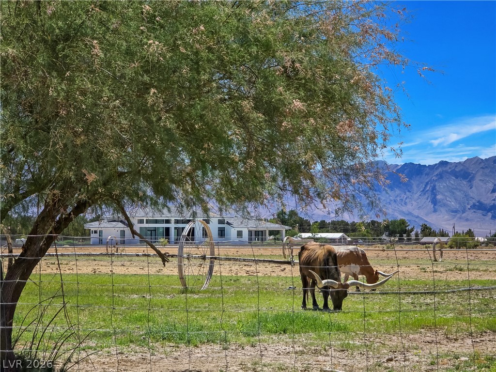 3543 East Malheur Avenue Pahrump NV 89061