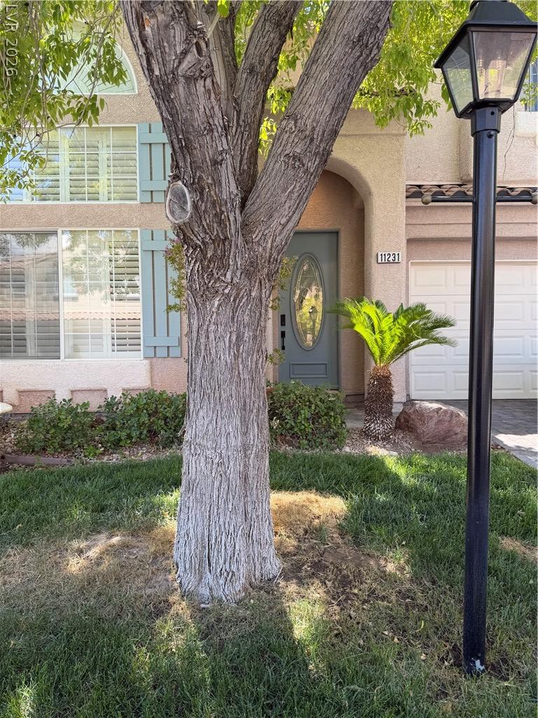 11231 Playa Bonita Avenue Las Vegas NV 89138