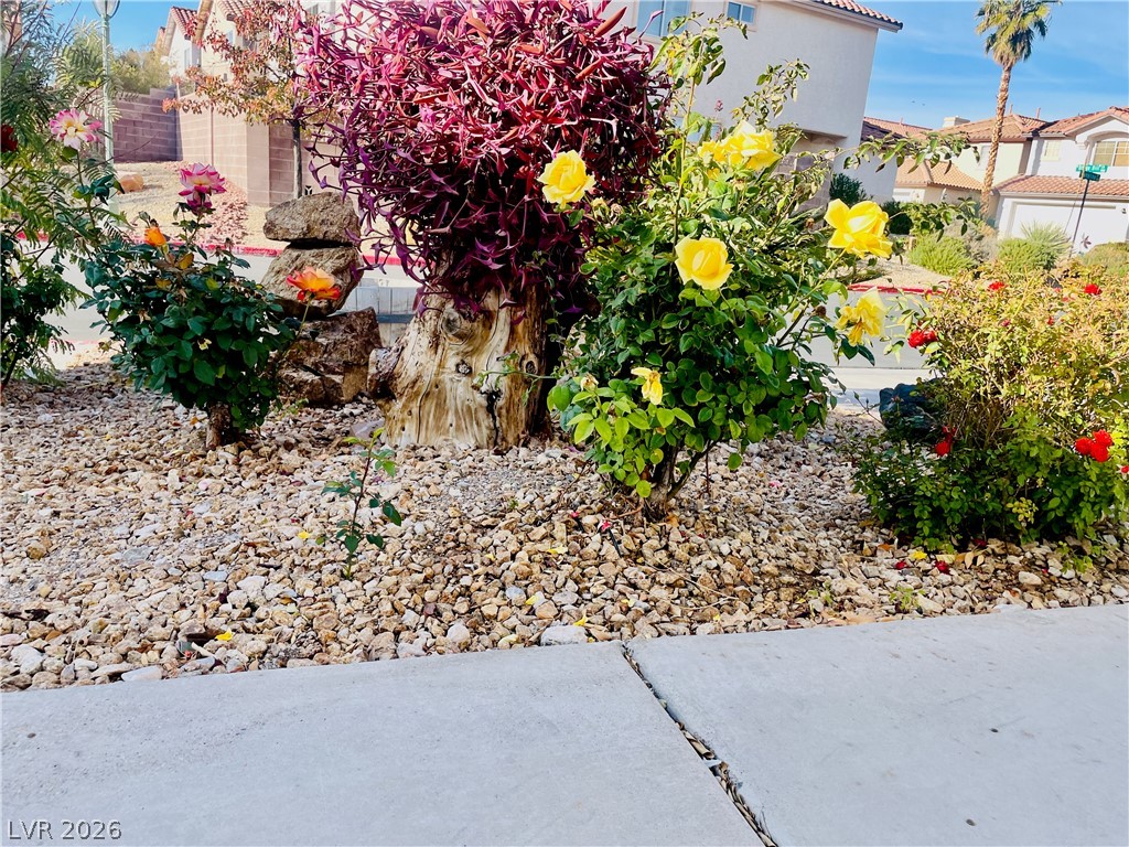 9224 Canalino Drive Las Vegas NV 89134