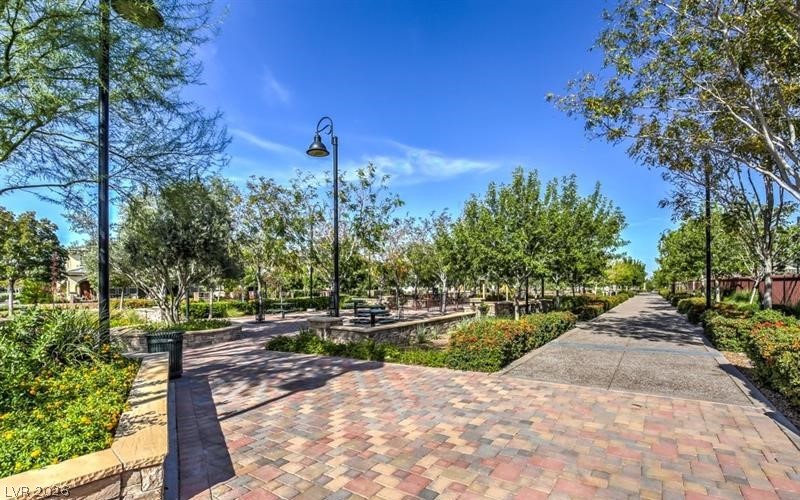 3513 Lamberto Cliff Way Henderson NV 89044
