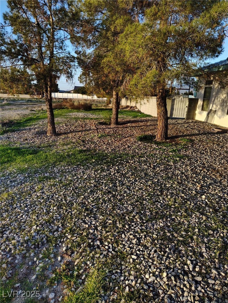 1250 Cavalry Street Pahrump NV 89048