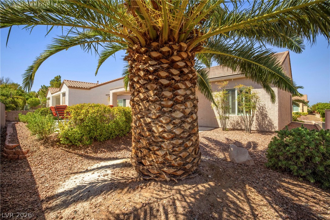 2244 Turner Falls Street Henderson NV 89044