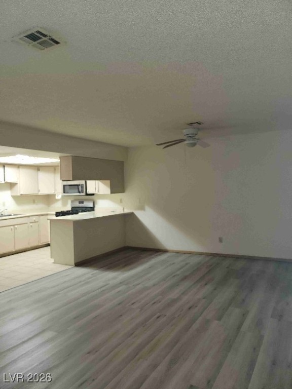 442 Holick Avenue Henderson NV 89011