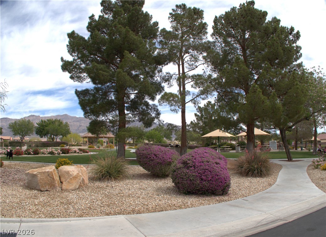 4339 Mesa Landing Avenue North Las Vegas NV 89085
