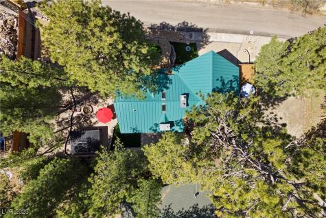 274 Ski Trail Road Mount Charleston NV 89124