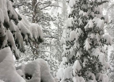 274 Ski Trail Road Mount Charleston NV 89124