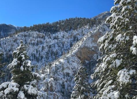 274 Ski Trail Road Mount Charleston NV 89124