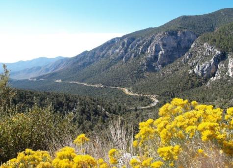 274 Ski Trail Road Mount Charleston NV 89124