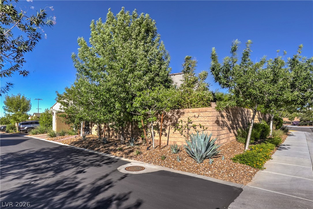 2119 Maderno Street Henderson NV 89044