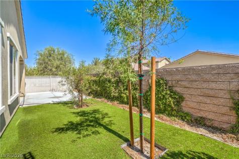 3709 Corte Bella Hills Avenue North Las Vegas NV 89081