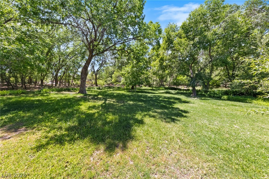 59 Arroyo Road Las Vegas NV 89110