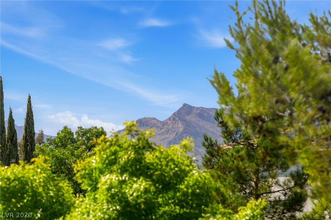 2005 Marble Gorge Drive Las Vegas NV 89117