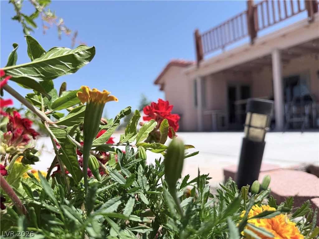 1220 Gamebird Road Pahrump NV 89048