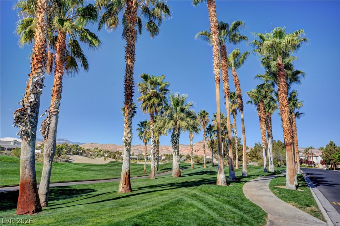 115 Cora Hills Court Las Vegas NV 89148