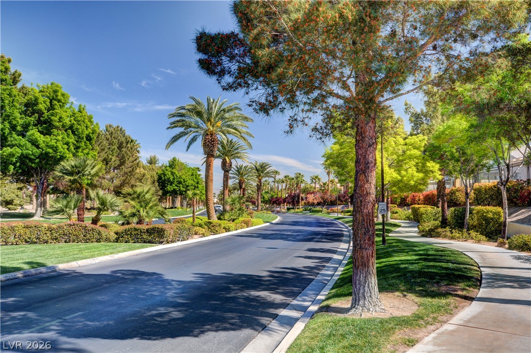 115 Cora Hills Court Las Vegas NV 89148