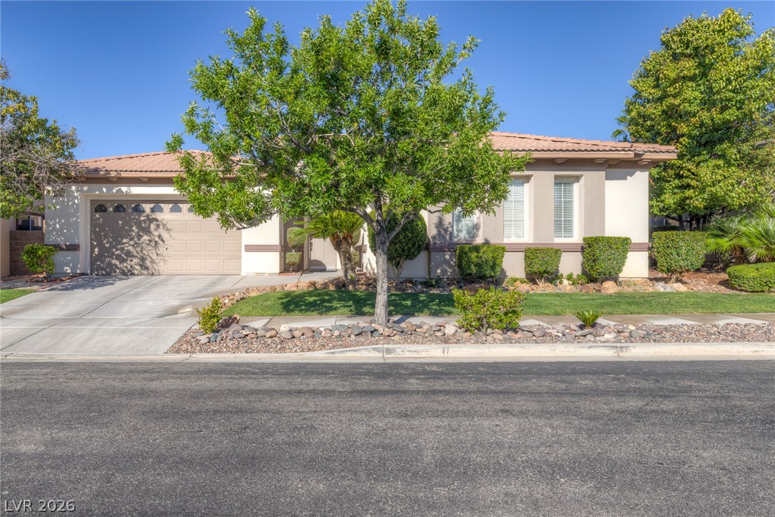 1855 Taylorville Street Las Vegas NV 89135