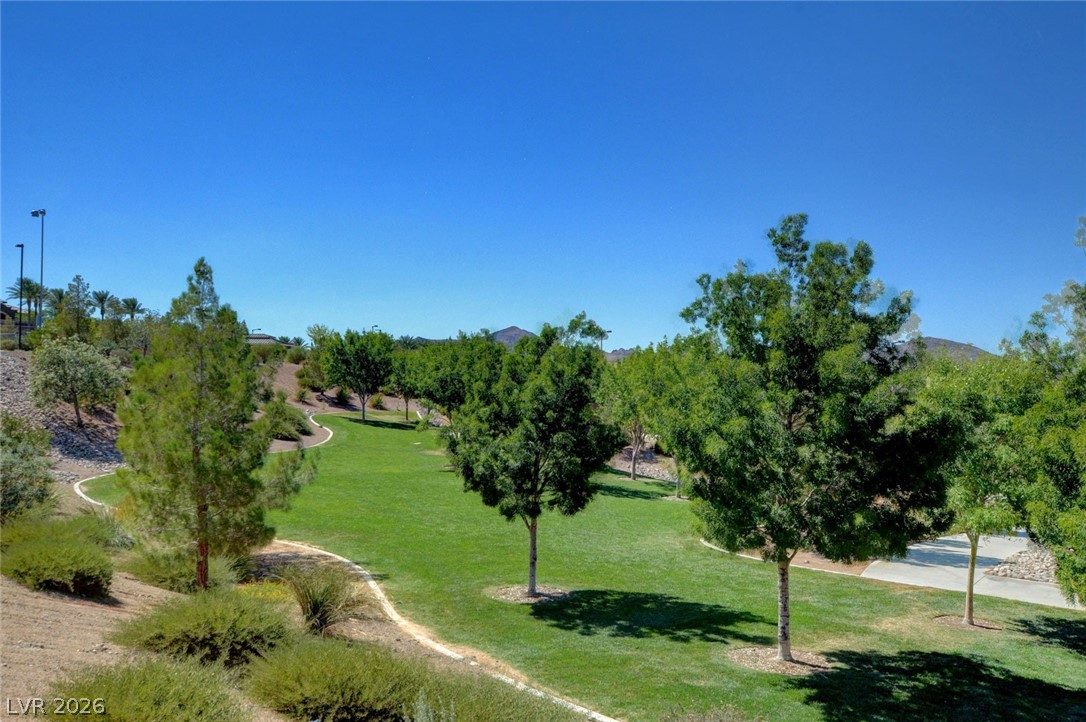 2173 De Narvik Drive Henderson NV 89044