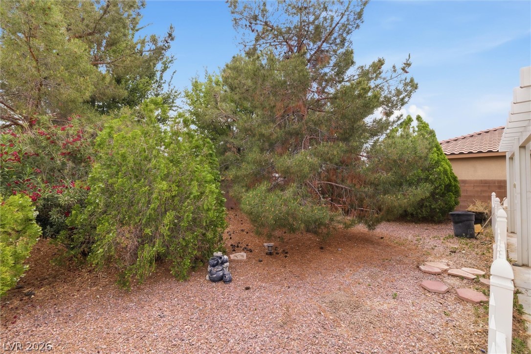 4721 South Adriano Way Pahrump NV 89061