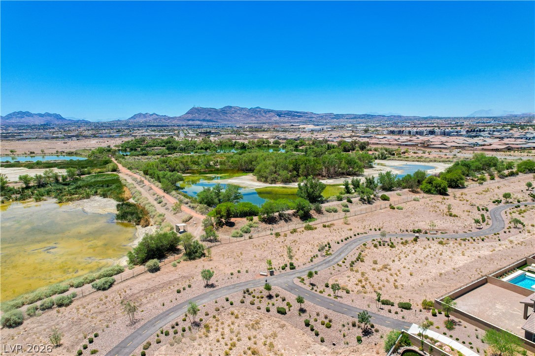 409 Winter Dove Avenue Henderson NV 89011