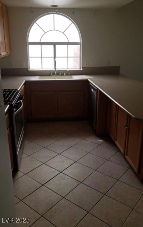 970 Flapjack Drive Henderson NV 89014