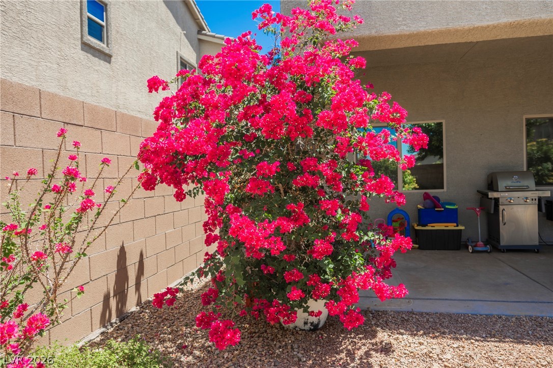 109 Kirkcaldy Street Henderson NV 89012