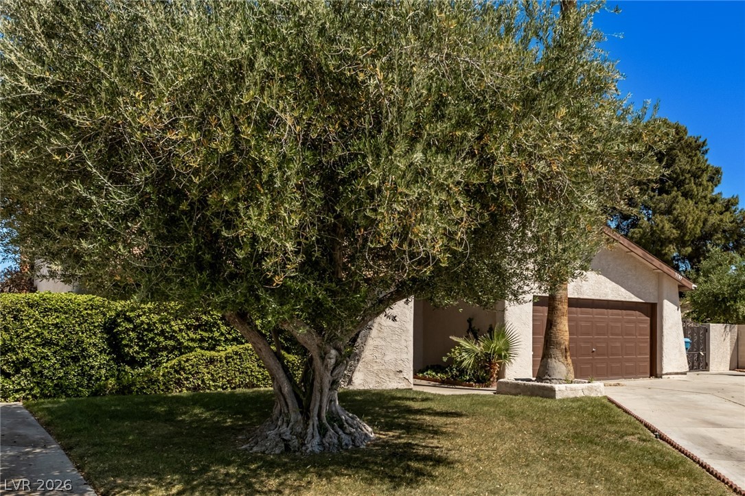 3709 Pamplona Circle Las Vegas NV 89103