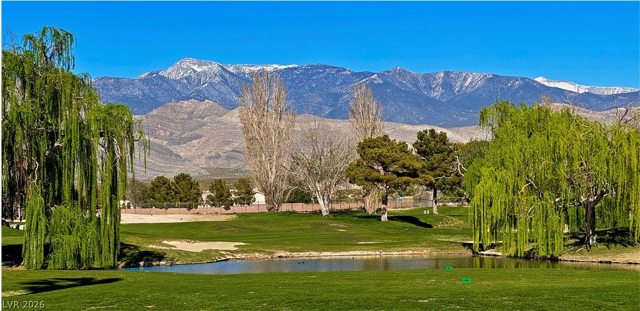 5225 Lilia Avenue Pahrump NV 89061