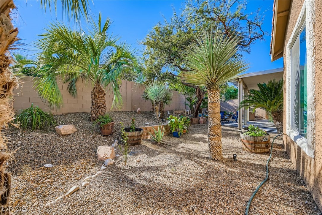 8225 Long Buffalo Avenue Las Vegas NV 89131