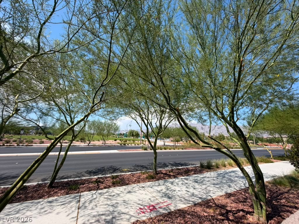 3936 Snow Fawn Avenue North Las Vegas NV 89084