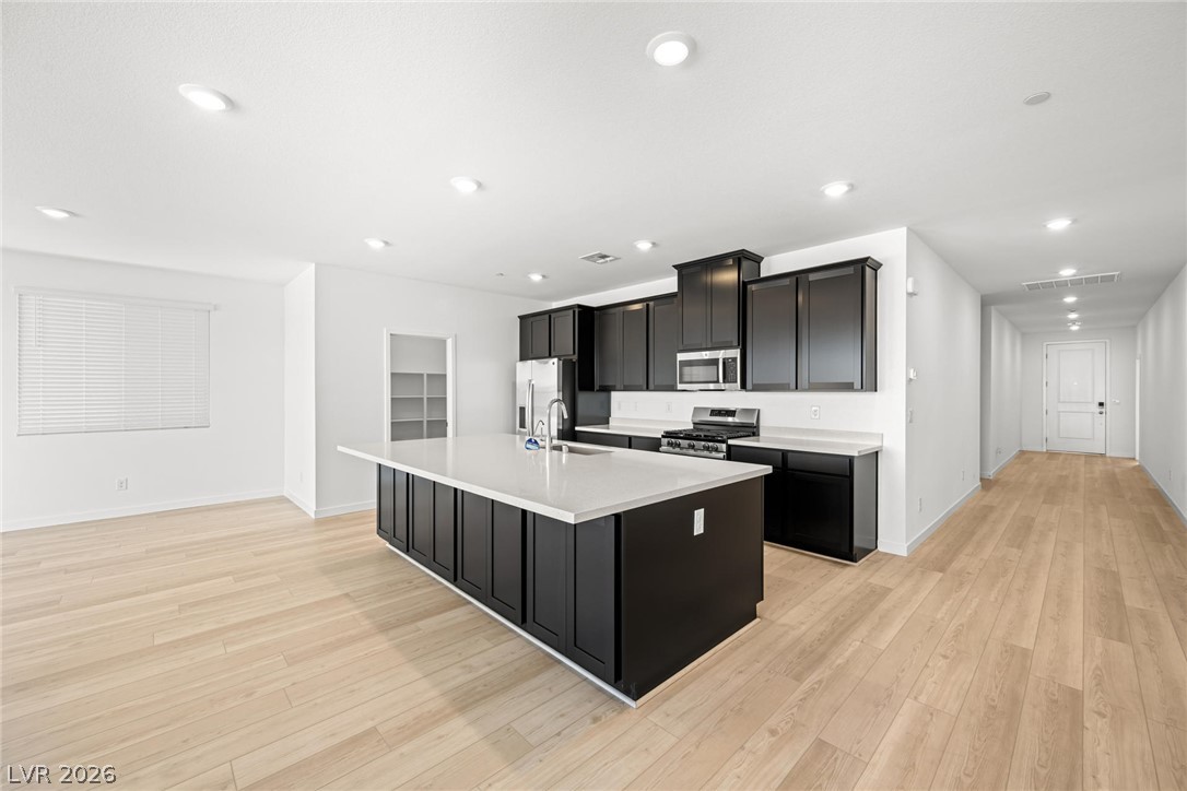 1663 Capri Falls Court Henderson NV 89011