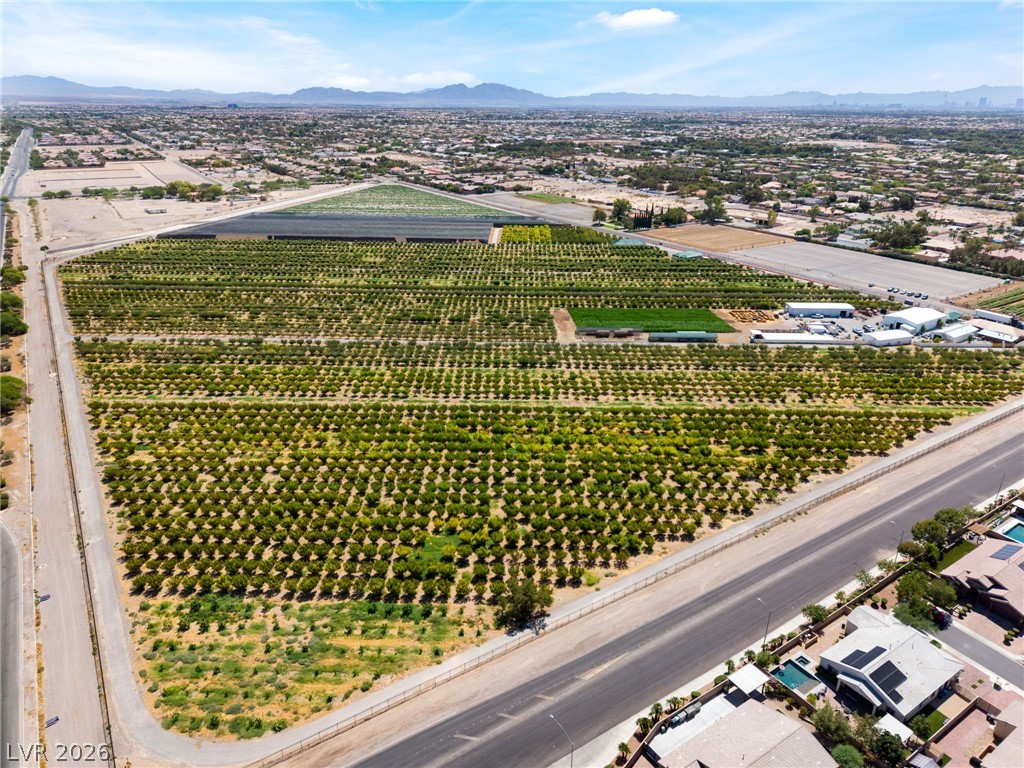 7310 Fruitful Harvest Avenue Las Vegas NV 89131