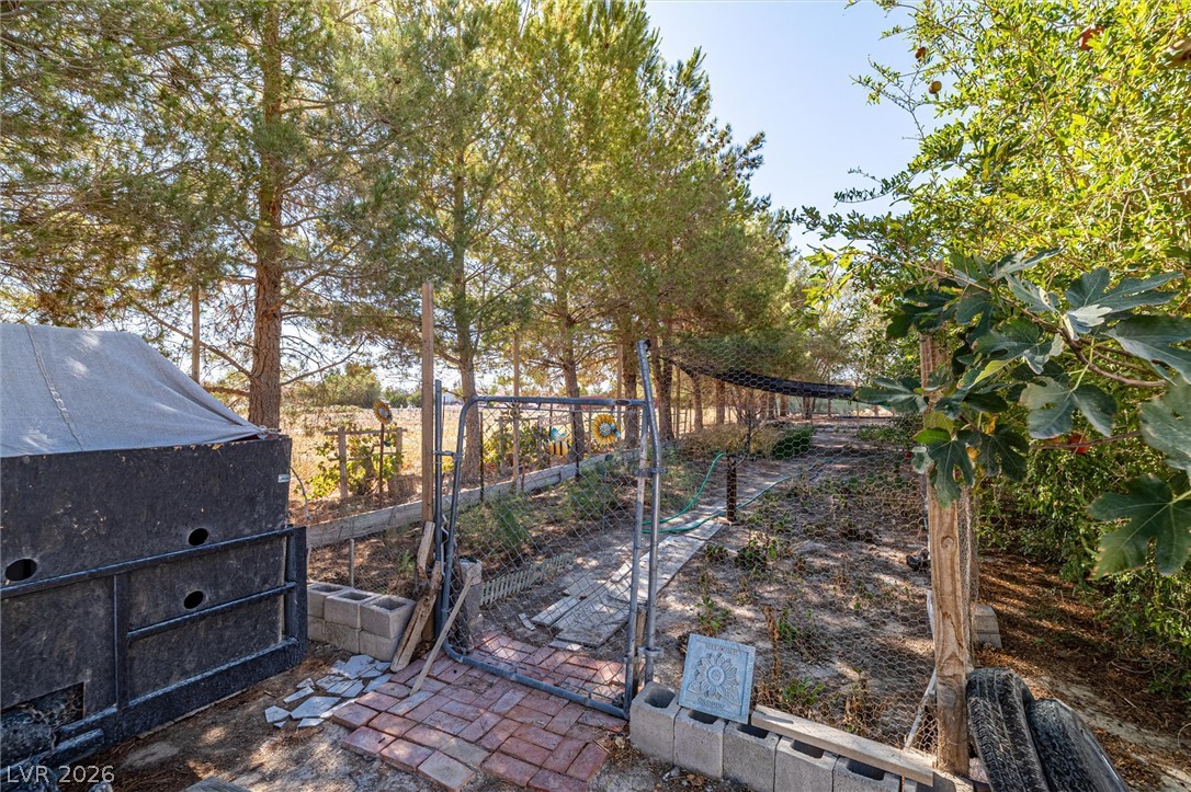 3751 Manse Road Pahrump NV 89061