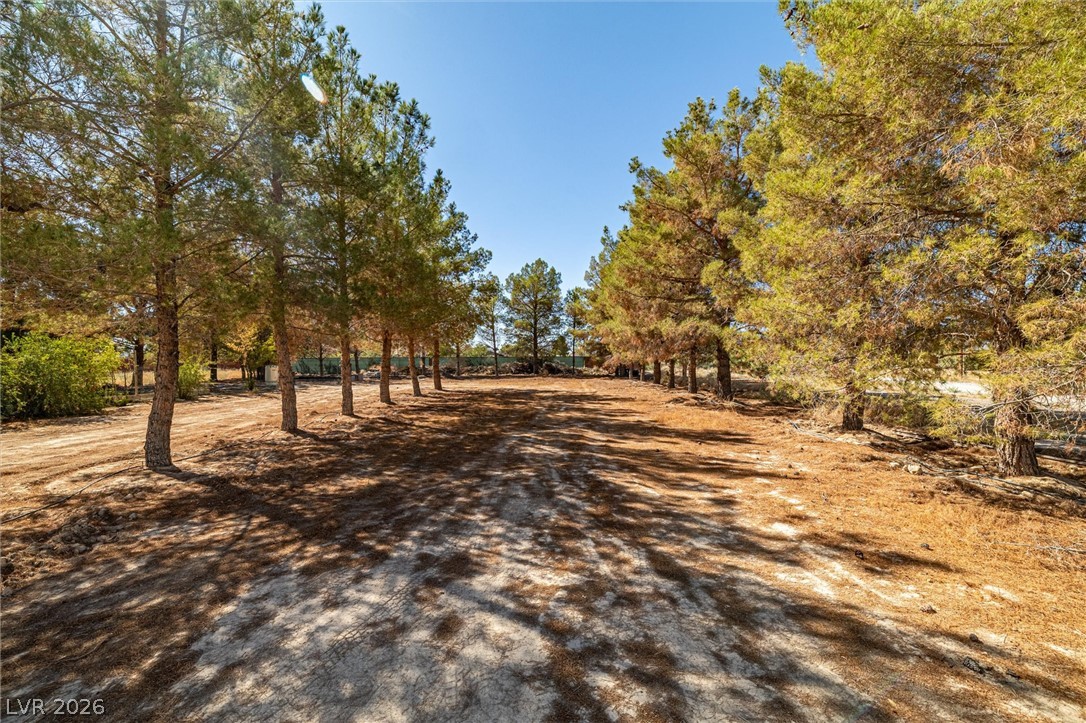 3751 Manse Road Pahrump NV 89061