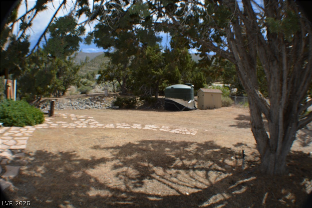 1321 Trout Canyon Pahrump NV 89061