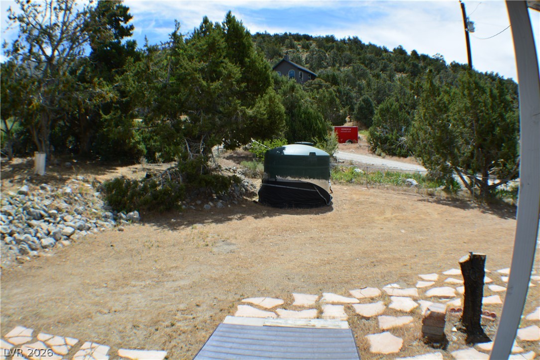 1321 Trout Canyon Pahrump NV 89061