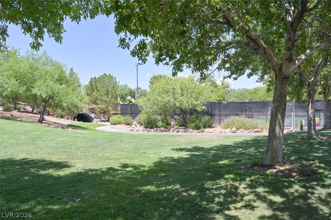 1259 Moon Vision Street Henderson NV 89052
