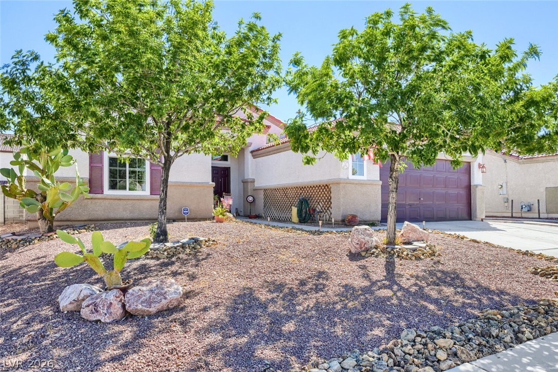 317 Maritocca Avenue North Las Vegas NV 89031