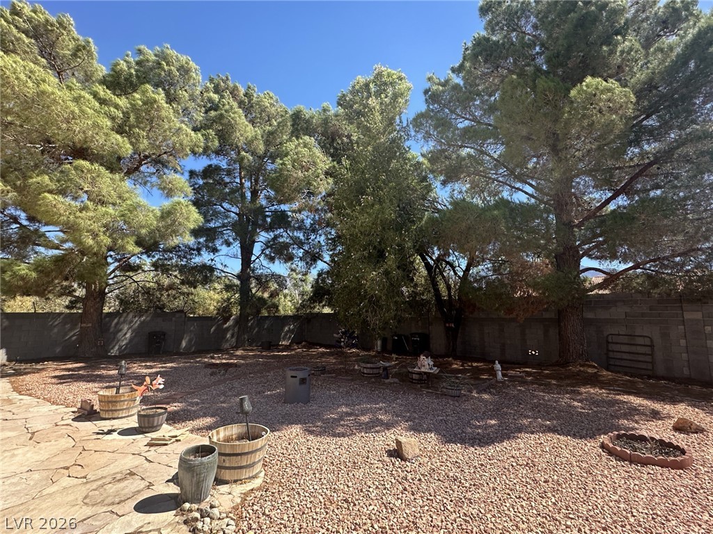 451 Steven Pahrump NV 89060